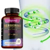 Berberine + Ceylon Cinnamon, Milk Thistle (120 Kapseln) Produktbild-Vorschau 10