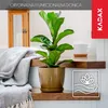 A golden plant pot with a green plant sits on a wooden shelf, next to a draped blanket. Produktbild-Vorschau