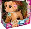 Klub Petz - Pes Milo Náhľad obrázku produktu 2