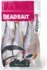 Prebaits Rotauge Large 500/550gr Produktbild-Vorschau 2