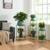 A living room scene with several green metal plant stands holding various potted plants, next to a gray sofa with a beige throw blanket. Náhľad obrázku produktu