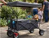 Pinolino Paddy Klappbollerwagen Transportwagen mit Bremse Produktbild-Vorschau 4