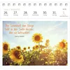 Postkartenkalender Ich wünsch dir was 2027 Produktbild-Vorschau 10