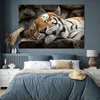 MuchoWow® Poster Tiger - Ruhend - Felsen 180x120 cm - Produktbild-Vorschau 4