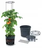Prosperplast TOMATO GROWER bac à tomates 29,5 cm anthracite Voir les images du produit 32