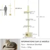 PawHut Arbre à chat hauteur réglable de 230 à 260 cm tour Voir les images du produit 5