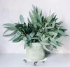 A close-up shot of a plant pot with eucalyptus branches, placed on a rolling stand. Produktbild-Vorschau