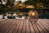 An outdoor lamp is placed on a wooden deck next to a pool, with string lights and trees in the background. Anteprima dell’immagine prodotto