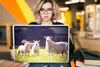 MuchoWow® Laptop Aufkleber Sticker Cover Schaf - Lamm - Produktbild-Vorschau 5