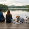 Betz Hundehandtuch Mantel aus Baumwolle mit Klettverschluss Produktbild-Vorschau 4