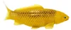 Mojo Sealife Koi Karper - Kin Matsuba Koi - 381105 Anteprima dell’immagine prodotto 3