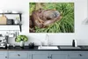 OneMillionCanvasses® - Leinwandbilder - 140x90 cm, Affe - Produktbild-Vorschau 4