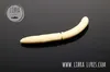 Libra Lures Fatty D´Worm (Cheese) Produktbild-Vorschau 5