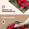 KitchenYeah© Herdabdeckplatte Rote Anemone im Sonnenlicht , Produktbild-Vorschau 2