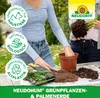 Neudorff NeudoHum Grünpflanzen & PalmenErde - 3 Liter Produktbild-Vorschau 8