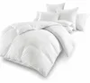 Betten Hofmann Canada Kassetten Daunenbett 4x6 155x220 1200 Produktbild-Vorschau 2