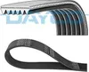 DAYCO Keilrippenriemen 2345,0mm für LAND ROVER Range Rover Produktbild-Vorschau 12