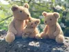 L'ours en peluche Eustache géant, Egmont Toys Voir les images du produit 2