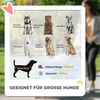 Hundewagen, Faltbarer Hundebuggy für große Hunde, Produktbild-Vorschau 4