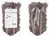Sternanis ganz 200 g | Natürliches aromatisches Gewürz Produktbild-Vorschau 7