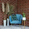 3er-Set Bogenhanf - Sansevieria trifasciata Laurentii - Produktbild-Vorschau 4