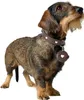 Hunter Anhänger Hundemarken-Etui Love braun, Größe: M Produktbild-Vorschau 4