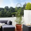 GARDEBRUK® 4x Tuteurs de jardin 200 cm Colonne rosiers Voir les images du produit 2