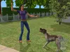 Die Sims 2 - Haustiere (Add-On) Produktbild-Vorschau 13