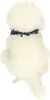 Labradoodle assis 28 cm Voir les images du produit 5