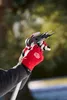 FELCO 290 Hochentaster Produktbild-Vorschau 10
