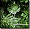 Coloray Hodiny Unikátní 30x30 cm  Tiché hodiny Pro obývací Produktbild-Vorschau 1