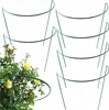 Support pour plantes vivaces en métal 70 cm (x6) - Support Voir les images du produit 1