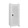 Armoire de salle de bain avec 1 porte, dimensions 30x30x80 Voir les images du produit 2