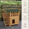 Kočičí domek PawHut s asfaltovou střechou, dvoupodlažní, s Náhled obrázku produktu 6
