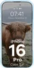 Bizon Case Tur Apple iPhone 16 Pro hellblau Produktbild-Vorschau 8
