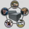 A collage of images demonstrating the versatility of a gray folding mattress. Produktbild-Vorschau