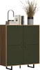 A cabinet with books and decorative grass. Podgląd zdjęcia produktu