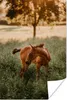 MuchoWow® Poster Pferd - Gras - Baum 120x180 cm - Produktbild-Vorschau 1