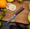 PAUDIN N8 Gemüsemesser 9 cm – professionelles japanisches Produktbild-Vorschau 11