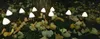 FHS 35697 LED Solar Lichterkette Pilze 3,8m 20 LED warmweiß Produktbild-Vorschau 5