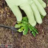 KOTARBAU® Mini wycinak do chwastów 14 x 191 mm Wycinak do Podgląd zdjęcia produktu 4