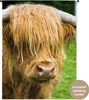 MuchoWow® Wandteppich Wandbehang Schottisches Hochlandrind Produktbild-Vorschau 1