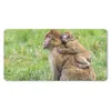 MuchoWow® Schreibtischunterlage Affe - Baby - Gras 80x40 cm Produktbild-Vorschau 1