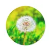 MuchoWow® Mauspad Mousepad Löwenzahn - Gras - Blume 50x50 Produktbild-Vorschau 1