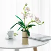 Stavebnice COIL play, kvety z kociek, phalaenopsis, Náhľad obrázku produktu 2