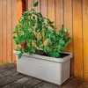 Box DUO taupe 78x39x35cm BERBERIS autonomo. Anteprima dell’immagine prodotto 18