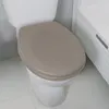 A close-up view of a toilet seat with a taupe-colored lid. Anteprima dell’immagine prodotto