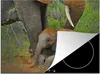KitchenYeah© Herdabdeckplatte Elefant - Tiere - Sand - Produktbild-Vorschau 1