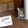 Lieblings Hund Metallschild in 15x20 cm für die Hundehütte Produktbild-Vorschau 5