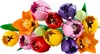 LEGO Botanicals Tulpenstrauß - Kunstblumen für Erwachsene - Produktbild-Vorschau 9